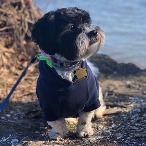 Meet your Posher, Deborah